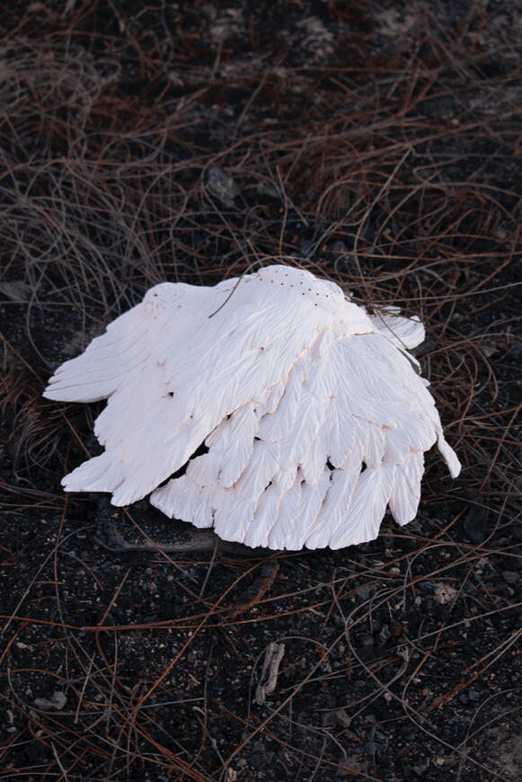 Caralea Cole + Iulia Filipov-Serediuc