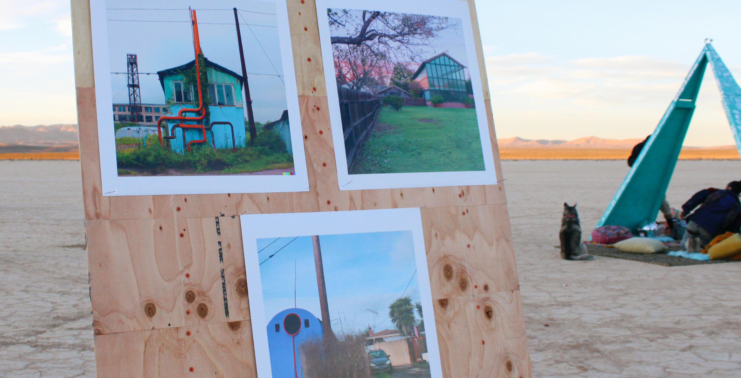 Image of photos by Anna Newman. Features three photo prints displayed on wooden temporary wall, of AI generated images of Reno houses.