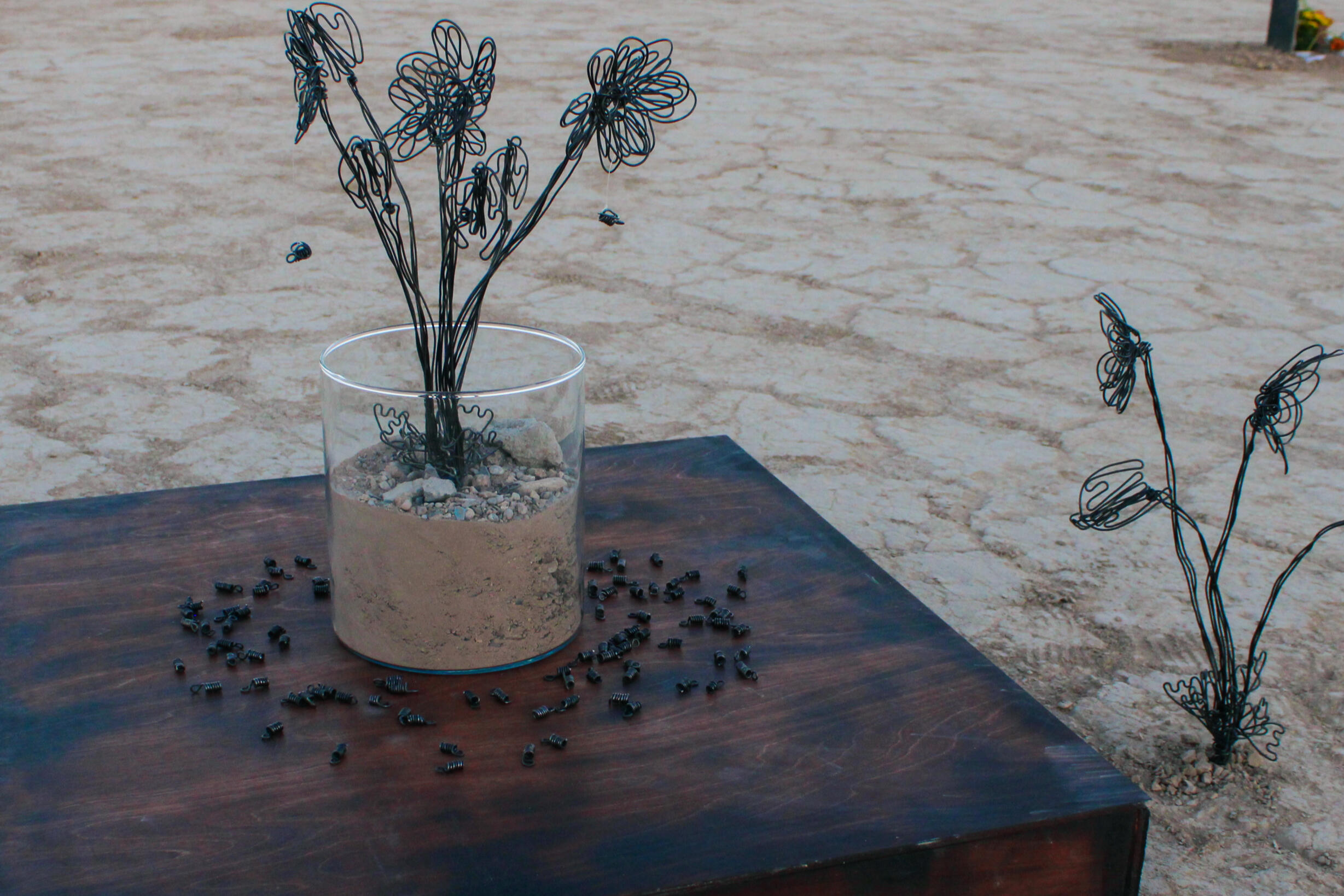 Image of sculpture by Geo. Features wire flowers in glass cylinder vase filled with sand on burned and stained wood pedestal. To the right of the pedestal in the ground, there is another set of wire flowers. Surrounding the cylinder are wire bees.